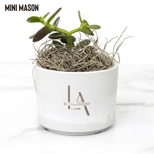 Legacy Agents Desk Plant