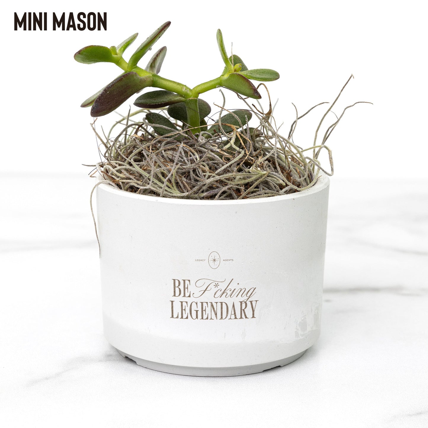 Legacy Agents Desk Plant