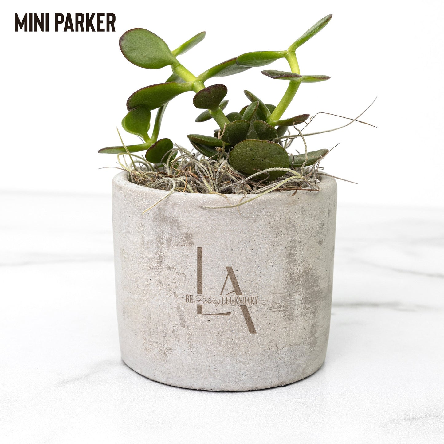 Legacy Agents Desk Plant