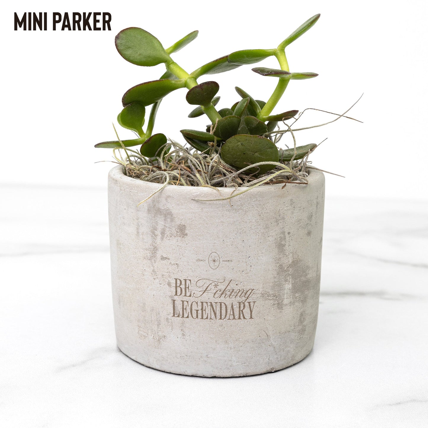 Legacy Agents Desk Plant