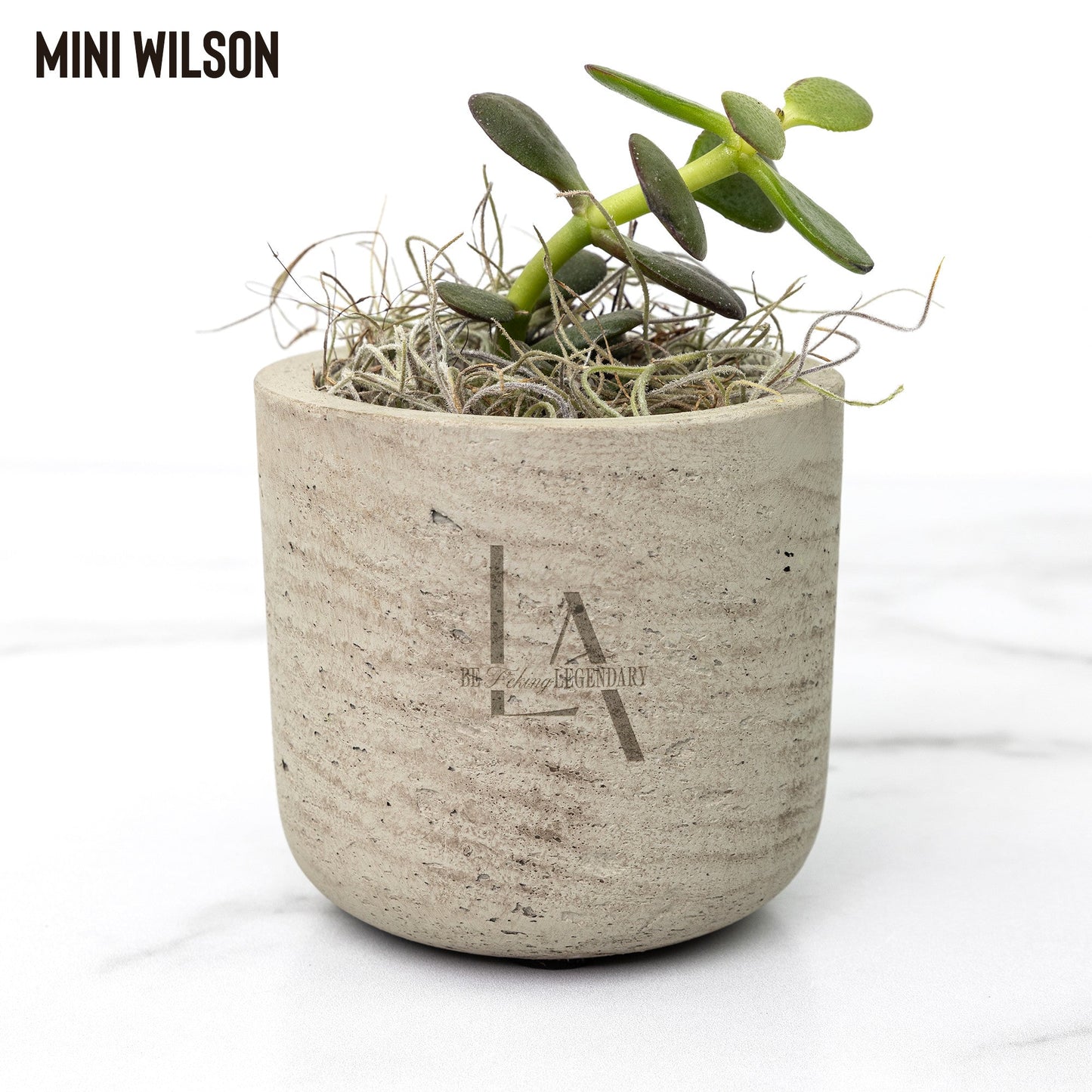 Legacy Agents Desk Plant